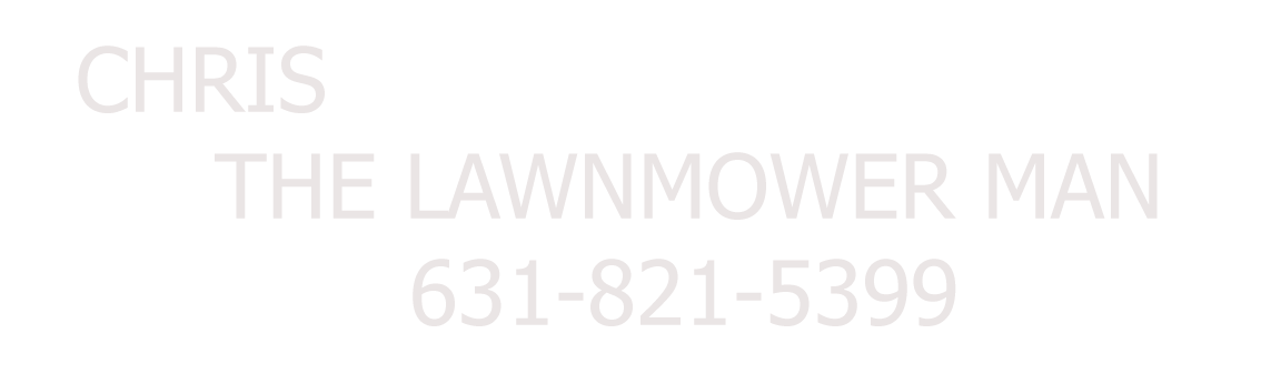 The Lawnmower Man Logo